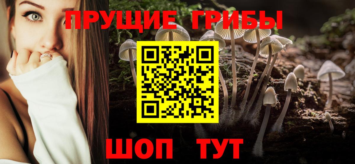Псилоцибиновые грибы Psilocybine cubensis  Вход с VPN  Галлюциногенные грибы прущие грибы  Кудымкар 